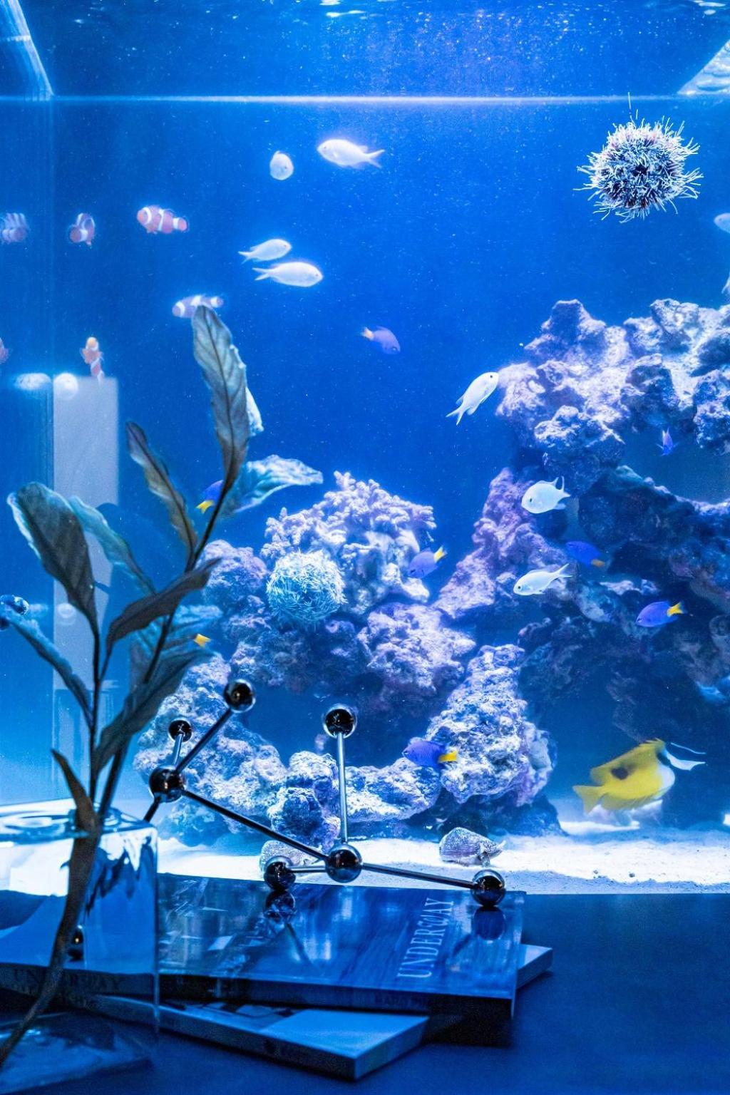 Japavista Aqua Villa Osaka Exteriör bild